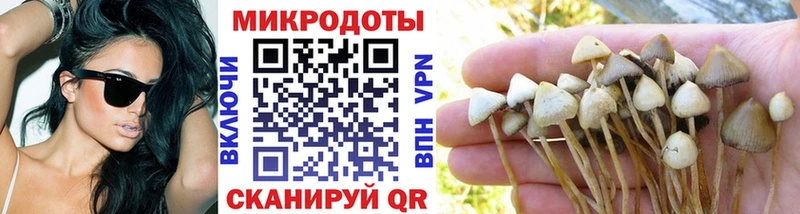 купить  сайты  Брянск  Галлюциногенные грибы мицелий 